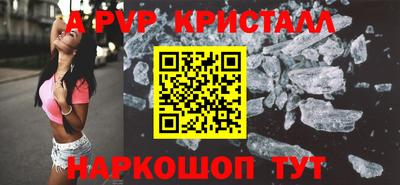 крисы Можга