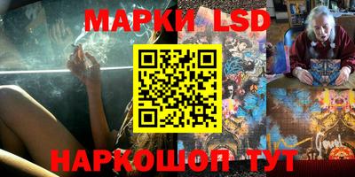 прущие крисы Моздок
