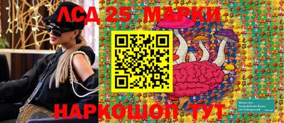крисы Можга