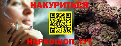 крисы Можга