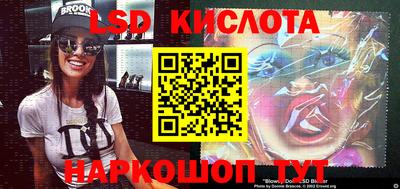 крисы Можга