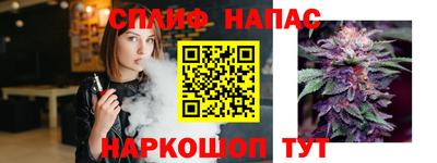 крисы Можга