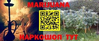 крисы Можга