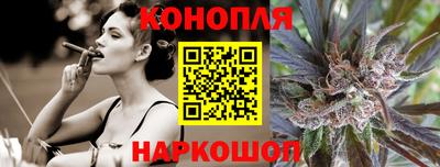 прущие крисы Моздок
