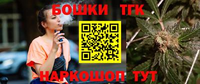 крисы Можга