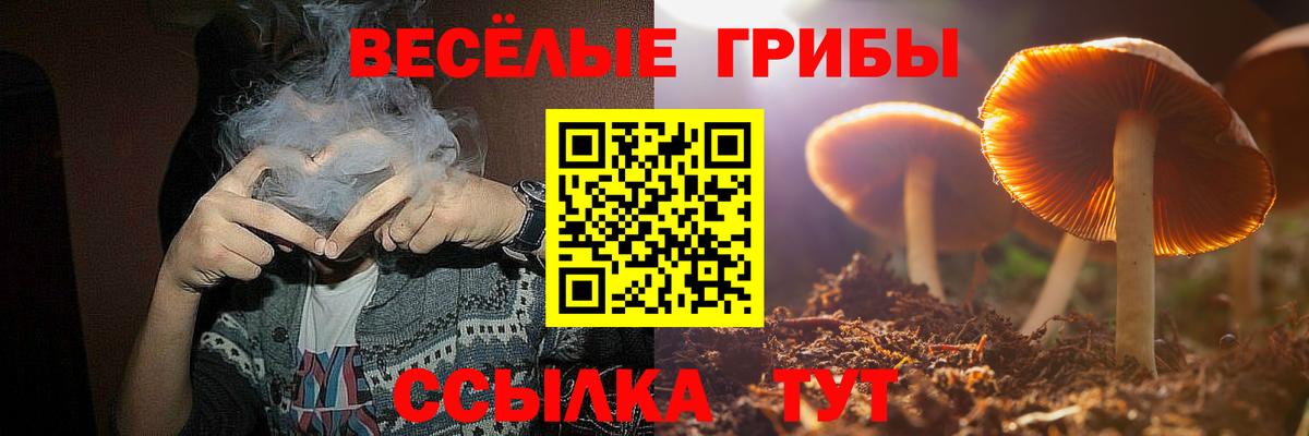 Псилоцибиновые грибы GOLDEN TEACHER Тельмана